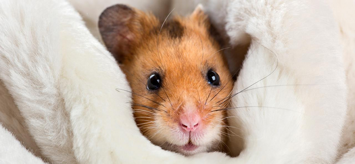 До среды дожили, порадуемся этому