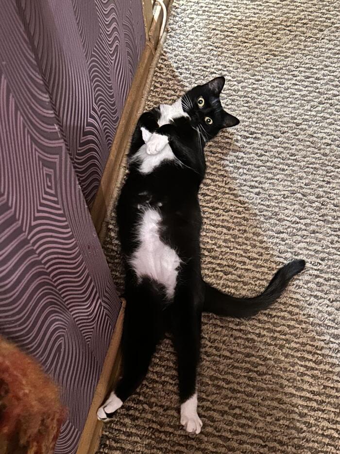 � ���� ��� !!!