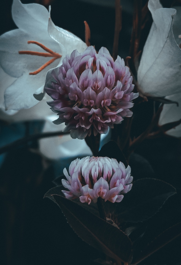  , , ,  