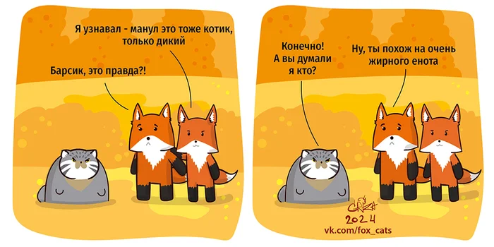 Barsik - My, Fox, Chanterelles against cats, Comics, Pallas' cat