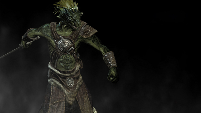      TES The Elder Scrolls, Bethesda, 
