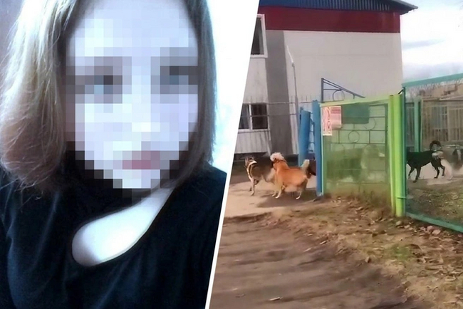 A Miracle Didn't Happen: 12-Year-Old Girl Who Was Torn Apart by Stray Dogs in Chulman Dies - Negative, Stray dogs, Dog attack, Yakutia, A wave of posts, Chulman