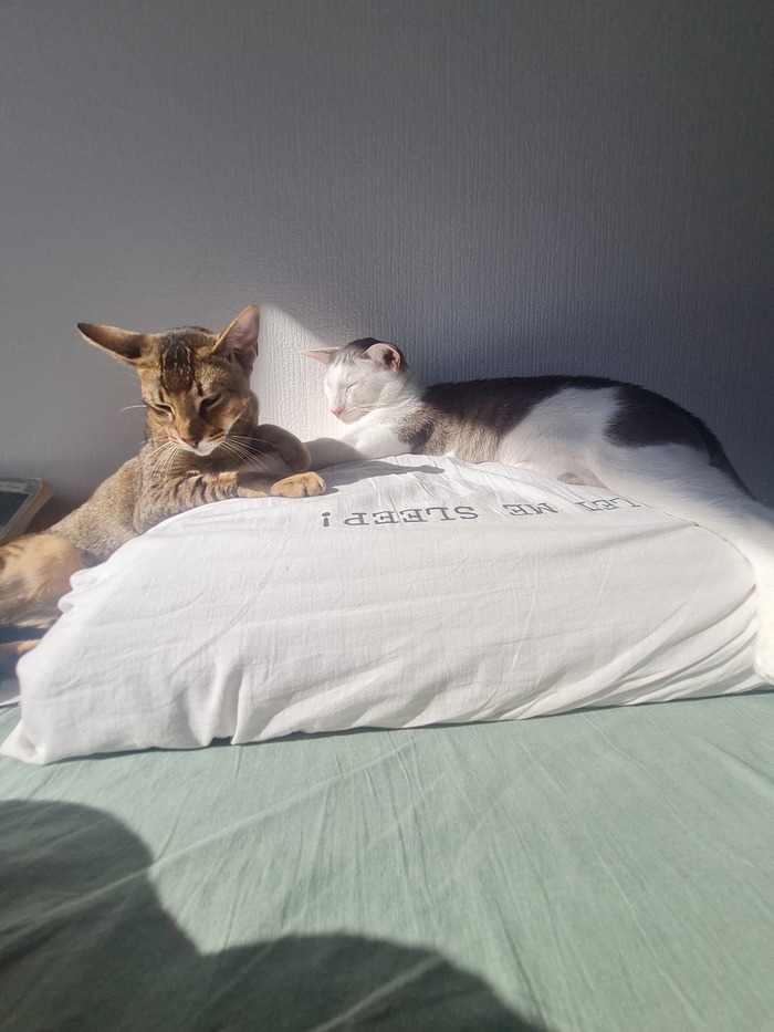  ,  , , ,  , 