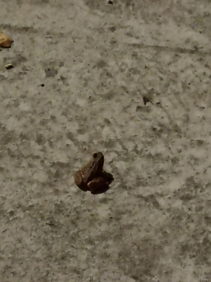 Со средой, мои чуваки