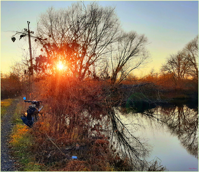 На прогулке