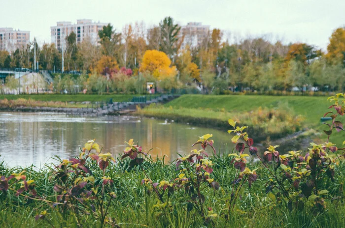 Kemerovo, Zhukov Park - My, The photo, Town, Kemerovo, Nature, The park