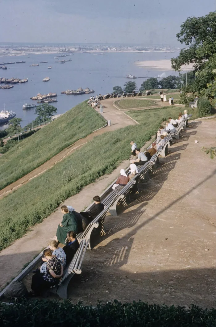 On the banks of the Volga, Gorky, 1958 - Childhood in the USSR, Mood, the USSR, Retro, Made in USSR, Nature, Landscape, Relaxation, Summer, Childhood memories, Memories, Childhood, Film, 50th, Telegram (link), The photo