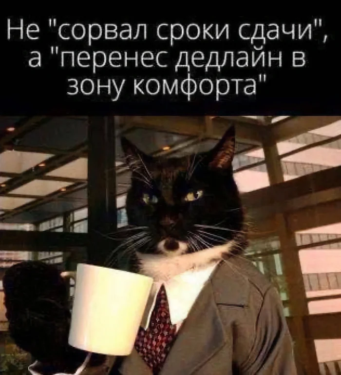 Correct wording - Telegram (link), Work, Images, Humor, Memes, Deadline, Picture with text, cat, Hardened