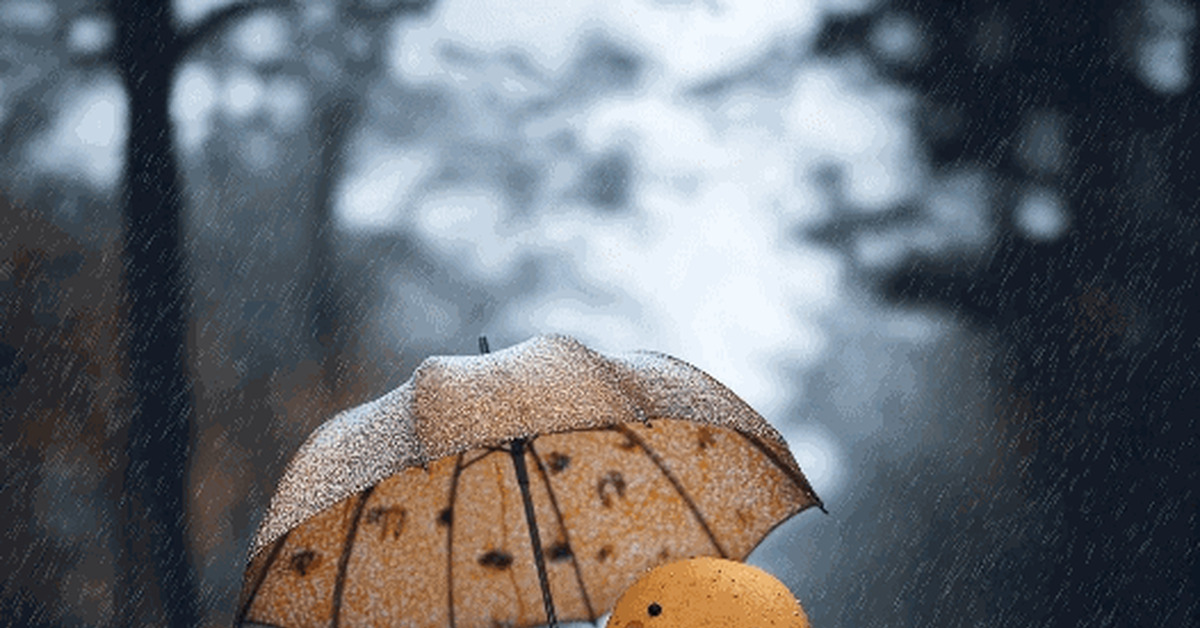 Animated Cookie - My, GIF, Milota, Neural network art, Cookie, Mascot, Peekaboo, Longpost