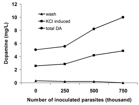 Toxoplasma: The Most Successful Manipulator - My, Research, Nauchpop, The science, Scientists, Toxoplasmosis, Toxoplasma, cat, Biology, Parasites, Dopamine, Video, Youtube, Longpost