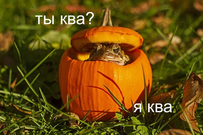 С октябрьской средой, мои чуваки - Моё, Тыква, Жаба, It Is Wednesday My Dudes, Картинка с текстом, Среда