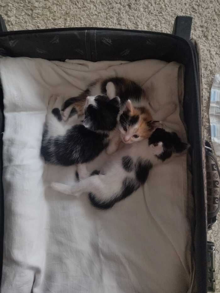      ,  ,  , , , ,   
