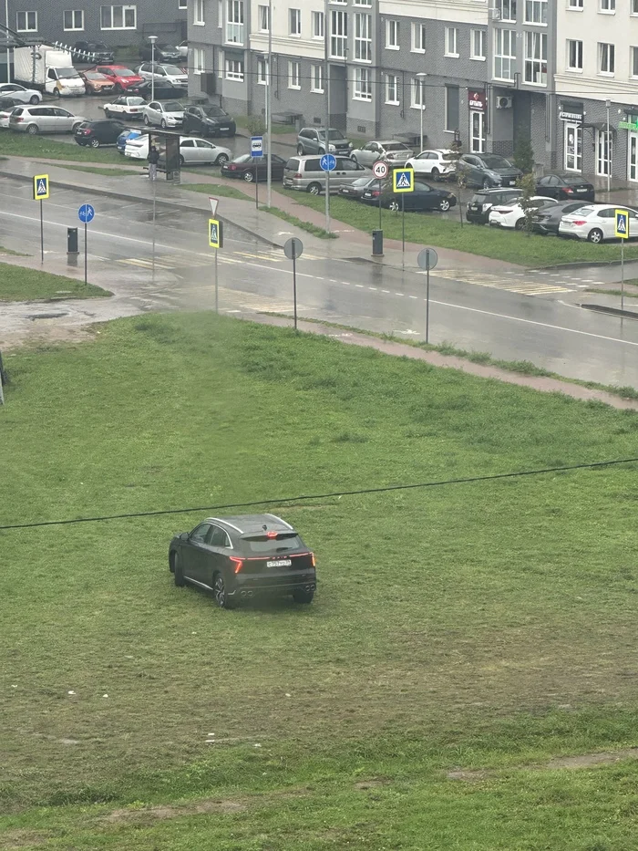 Do you think it's normal to stand on the grass like this? - People, Auto, Society, Parking, Transport, Driver, Motorists, Longpost