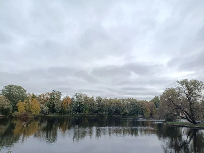 Яркие цвета серости. Фото - Моё, Мобильная фотография, Пейзаж, Осень, Цвет, Листва, Серость