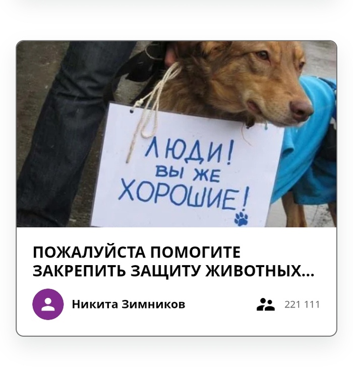 ����� �� ���� �"���� �� ���������": 12-������ �������, ������� ���������� �������� ������ � ��������, ������