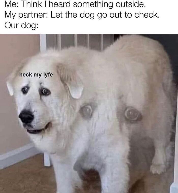    ... ,   , 