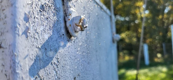 Bolt and nut in a web - My, Bolt, screw, Web, The photo, Samsung