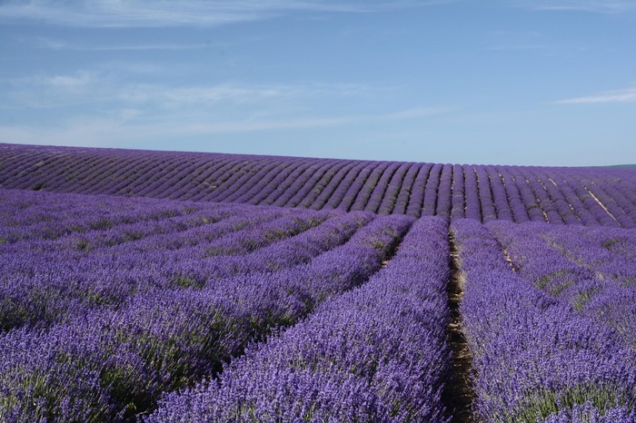 Фото Теххи Шекк, Крым, Тургеневка.