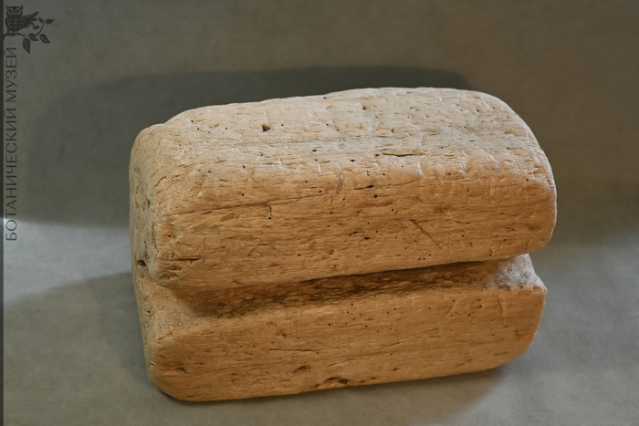Кусок древесины бальсы, обработанный для использования в качестве поплавка. Из коллекции Ботанического Музея БИН РАН.