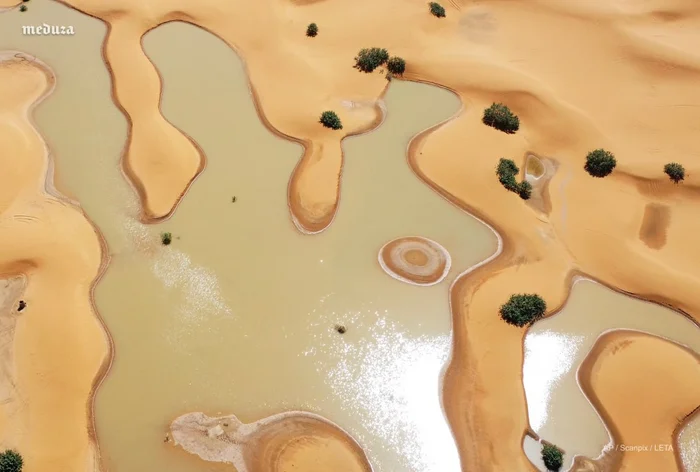 Sugar Flood - Nature, Cataclysm, Humor, Africa