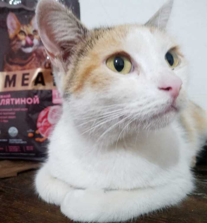   ,  , ,  , , ,   , , 