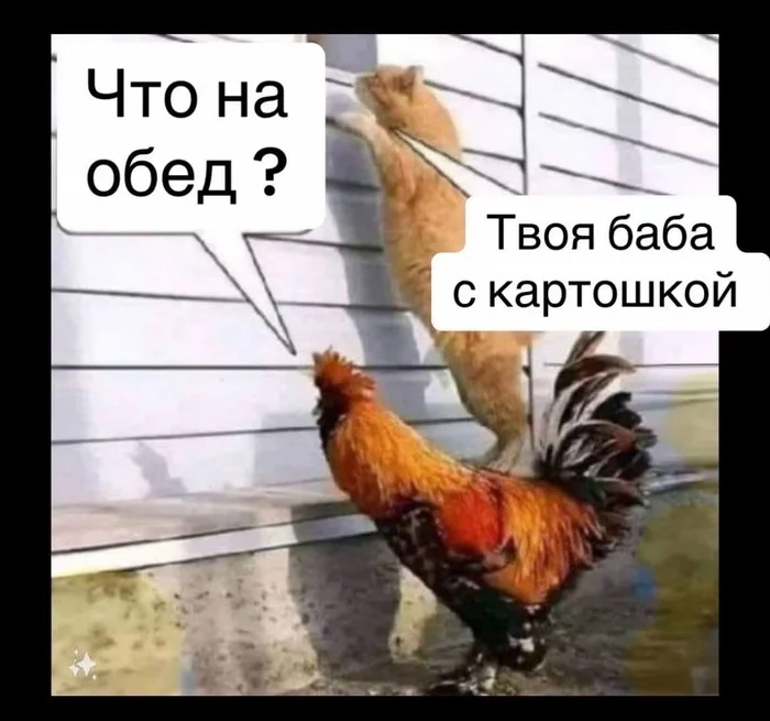 1728533700191366789.webp