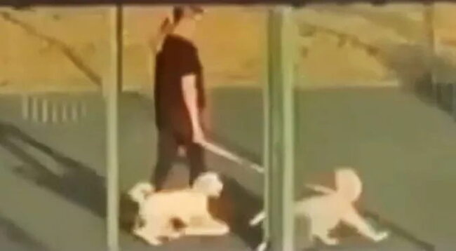 "����������� ����������, �������� &nbsp;��������������"