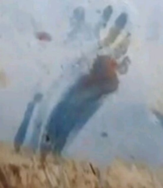  ,  ,  