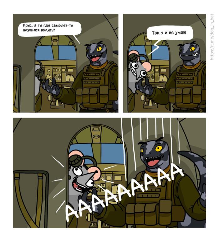  , , , ,  , , , , , 