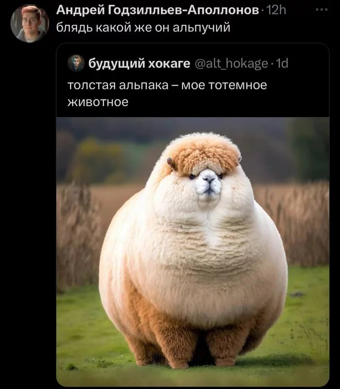    ,    , , , , , X (Twitter)