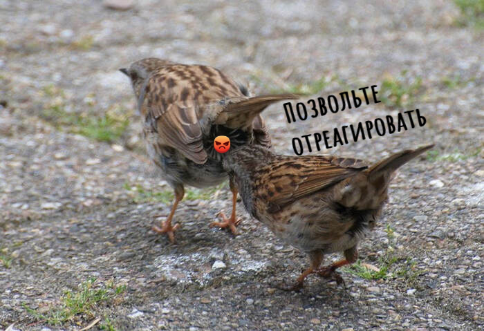         ,     , , ,   , , , ,   