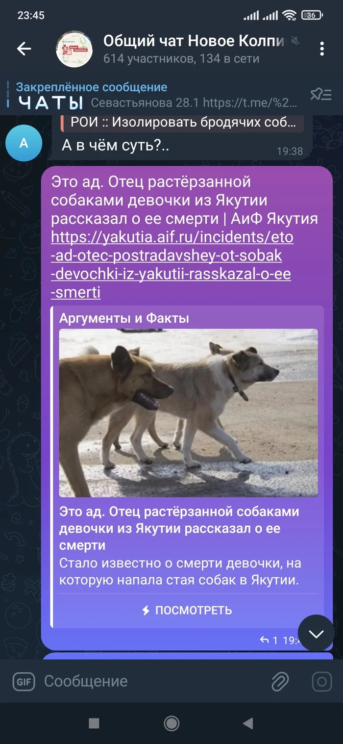 A little more about stray dogs and their defenders... - My, Stray dogs, Chulman, Animal defenders, Петиция, Homeless animals, Dog attack, Longpost, Negative, Swarms, Dog, The strength of the Peekaboo