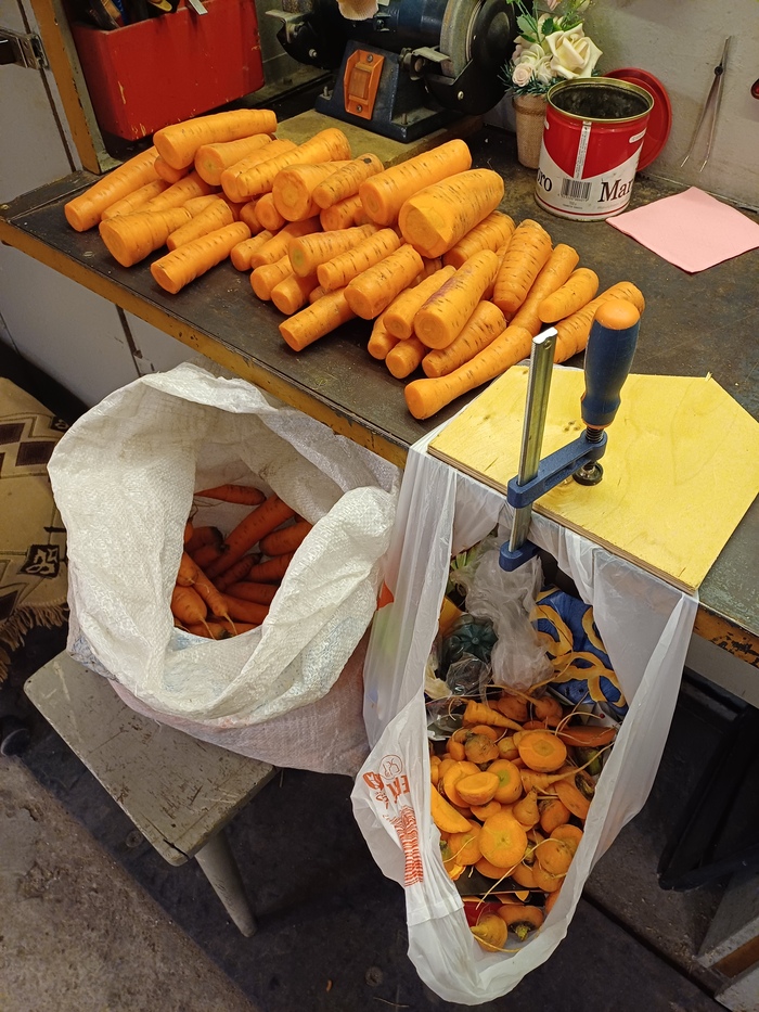 Кастрация морковки в новом освещении.