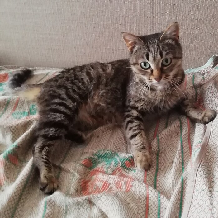 Развалилась и ждёт