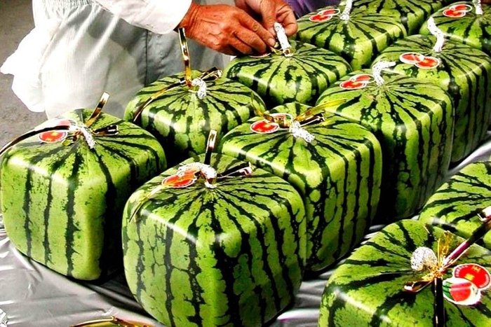 Квадробузеры