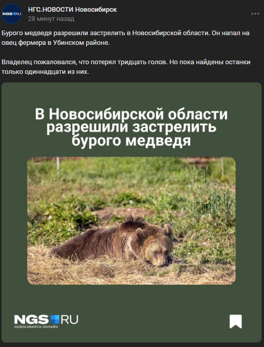 <!--noindex--><a href="https://pikabu.ru/story/otvet_na_post_chuda_ne_proizoshlo_12letnyaya_devochka_kotoruyu_rasterzali_brodyachie_sobaki_v_chulmane_umerla_11898646?u=https%3A%2F%2Fvk.com%2Fwall-23395094_838775&t=https%3A%2F%2Fvk.com%2Fwall-23395094_838775&h=8d8623cc05660550029a02d397a9da2d6698790b" title="https://vk.com/wall-23395094_838775" target="_blank" rel="nofollow noopener">https://vk.com/wall-23395094_838775</a><!--/noindex-->