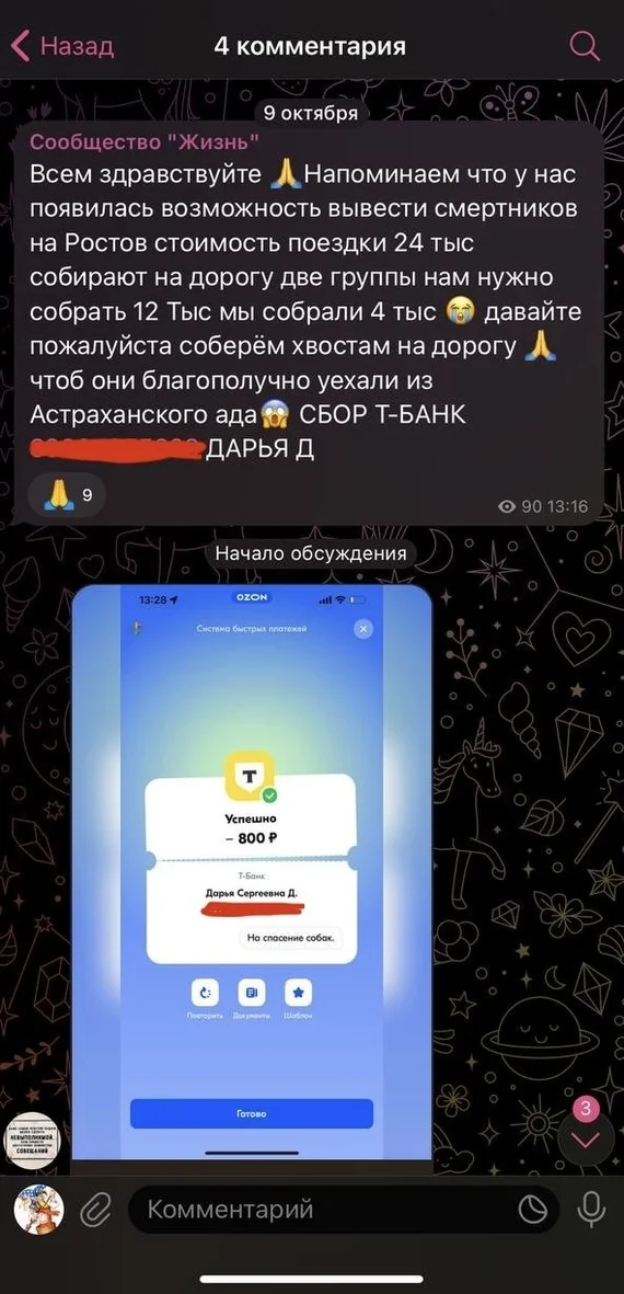 «Цирк с конями» в мире адептов собачьего культа продолжается - Бродячие собаки, Радикальная зоозащита, Нападение собак, Освв, Россия, Негатив, Новости, Telegram (ссылка), Астрахань, Зоозащитники, Цирк, Ростов-на-Дону, Длиннопост