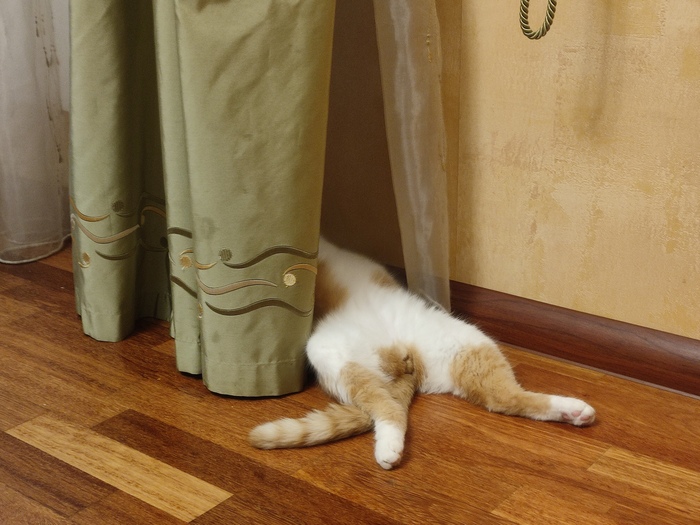 Не беспокоить