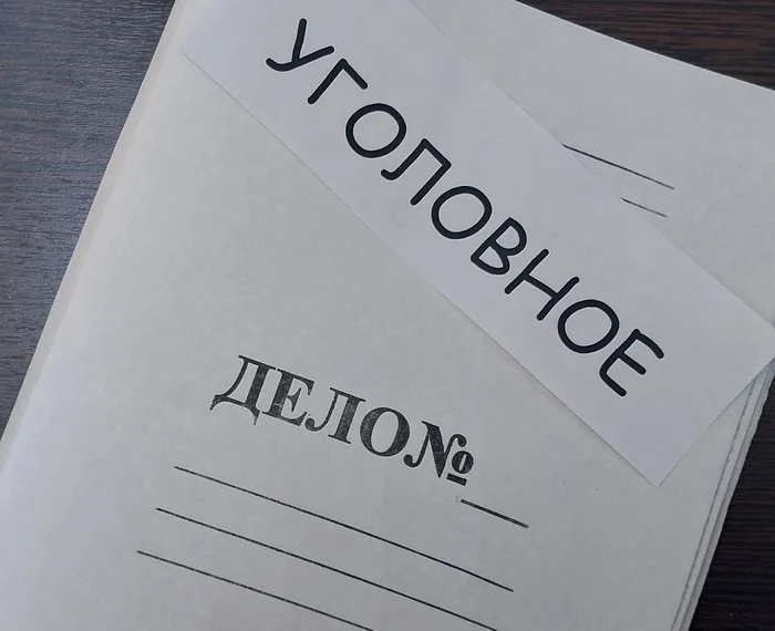 The head of the Investigative Committee of the Russian Federation ordered to initiate a case on the violation of the rights of residents of the SNT Club im. Chkalov in Orenburg - My, SNT, Summer residents, Law, investigative committee, Alexander Bastrykin