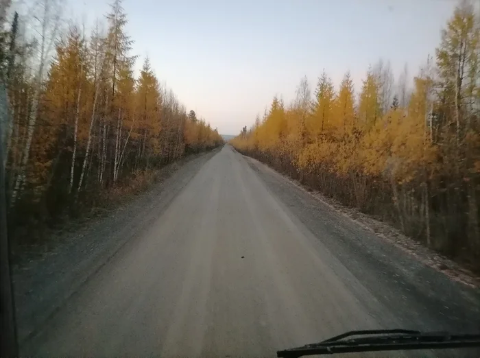 Road Velmo - Severo-Yeniseisk - My, Mobile photography, Russian roads, Road, Forest, The photo