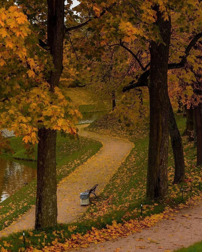 Гатчина в красках осени, Ленинградская область