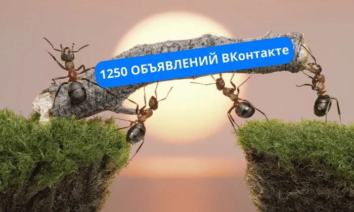 Как мы изменили 1250 рекламных объявлений «ВКонтакте» за 3 дня? - Реклама, Маркетинг, Услуги, Малый бизнес, Фриланс, Telegram (ссылка), Длиннопост