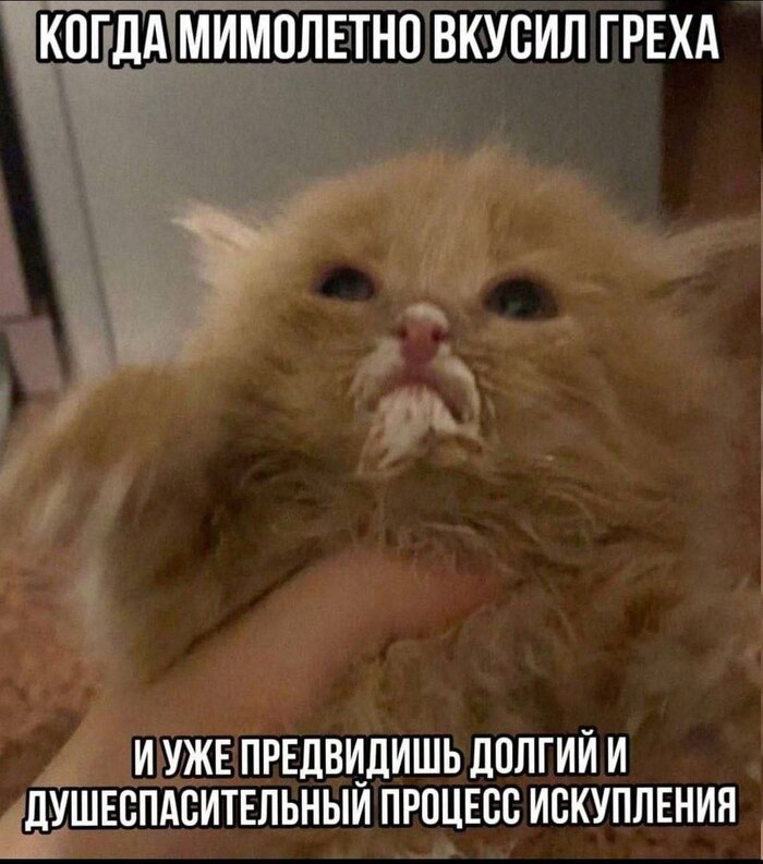 Ну вот как эту моську потом тяжело отмывать