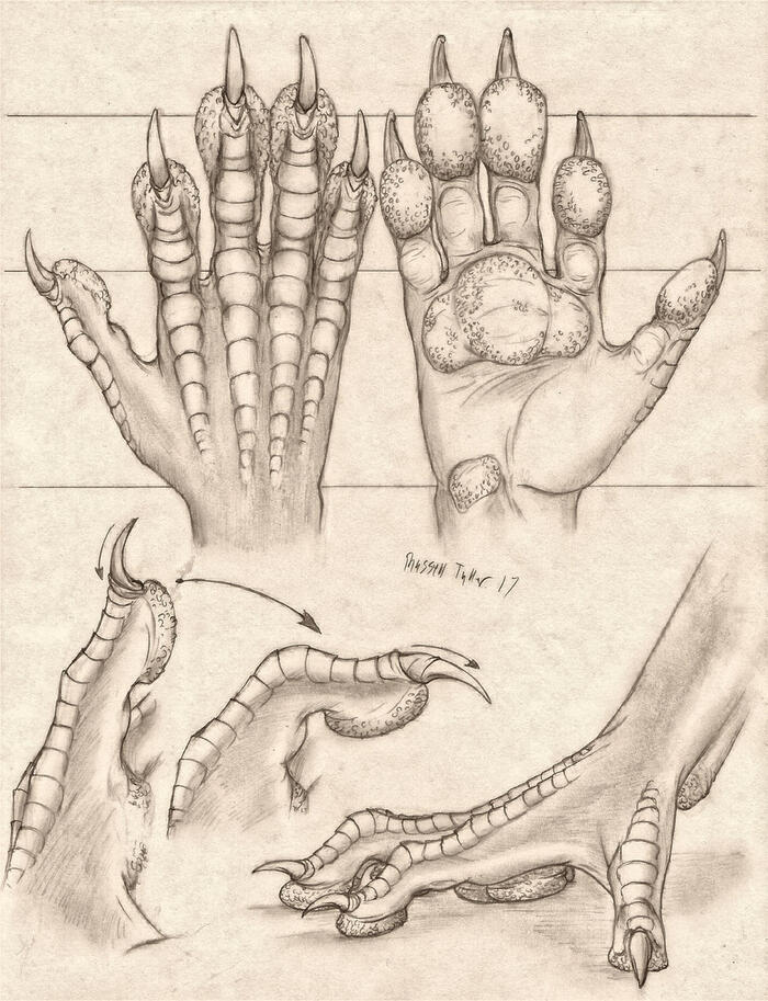 <a href="https://pikabu.ru/story/lapki_i_lapishchi_11899646?u=https%3A%2F%2Fwww.deviantart.com%2Frusselltuller%2Fart%2FPawed-Dragon-Hand-Anatomy-Study-707045123&t=Pawed%20Dragon%20Hand%20Anatomy%20Study&h=211794623e57ef0753df7a90e9f7f568fbe5d8f3" title="https://www.deviantart.com/russelltuller/art/Pawed-Dragon-Hand-Anatomy-Study-707045123" target="_blank" rel="nofollow noopener">Pawed Dragon Hand Anatomy Study</a>