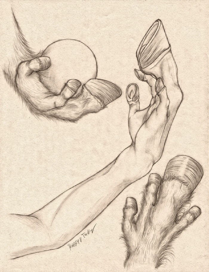 <a href="https://pikabu.ru/story/lapki_i_lapishchi_11899646?u=https%3A%2F%2Fwww.deviantart.com%2Frusselltuller%2Fart%2FEquus-Hand-Anatomy-Study-625848343&t=Equus%20Hand%20Anatomy%20Study&h=7f1953ba371c61d7fcbc9cc5b651487f9482cf73" title="https://www.deviantart.com/russelltuller/art/Equus-Hand-Anatomy-Study-625848343" target="_blank" rel="nofollow noopener">Equus Hand Anatomy Study</a>