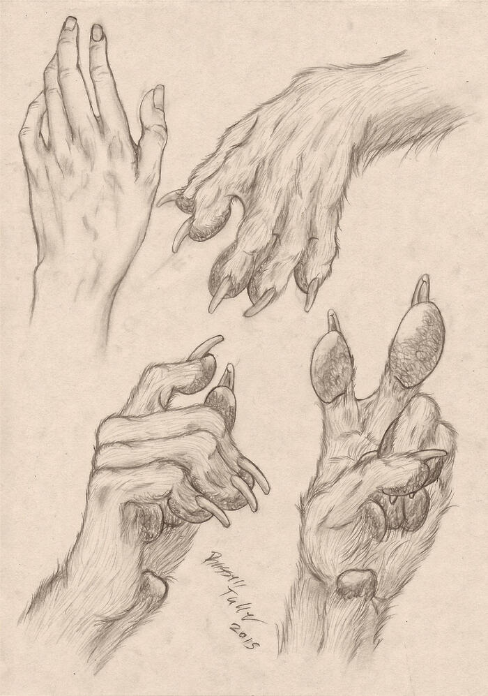 https://www.deviantart.com/russelltuller/art/Anthropomorphic-Wolf-Hand-Study-523680484 <a href=