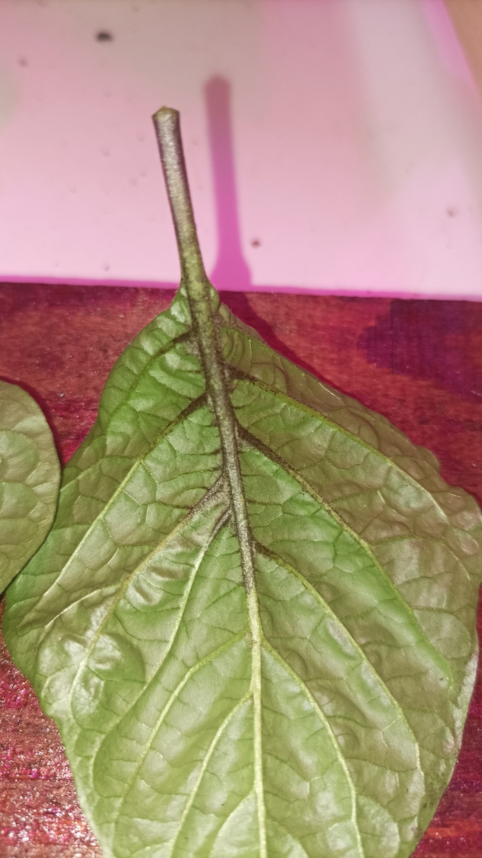    , , ,  ,  , 