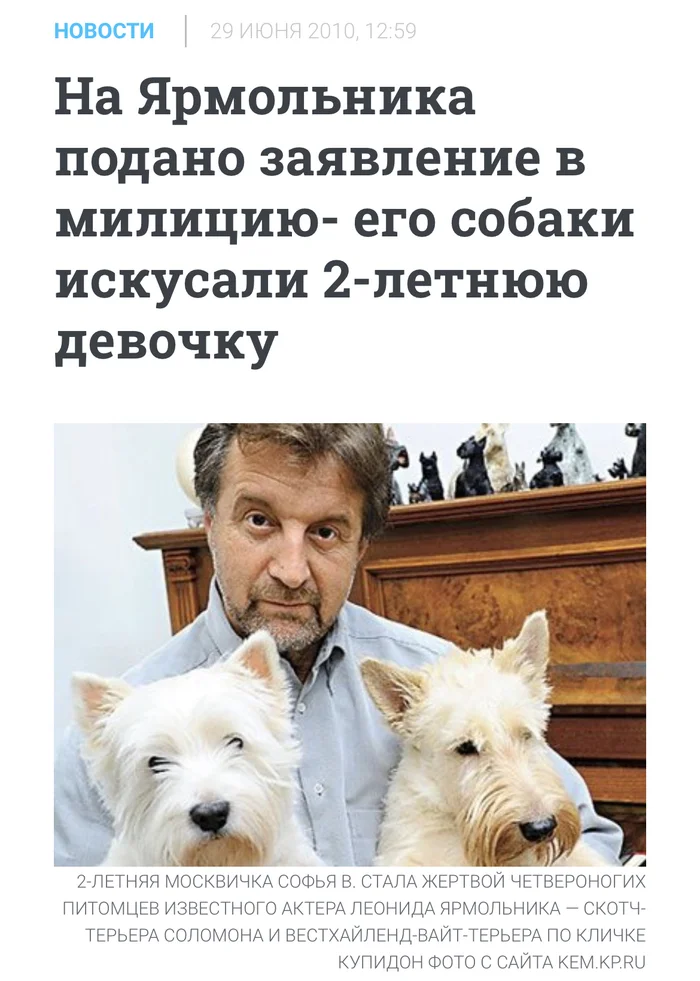 Rezinoviimozg's response to The adoption of the law on the euthanasia of stray dogs in Yakutia was actively disrupted by the director of the Yarmolnikov Foundation Giving Hope Svetlana Safonova - Stray dogs, Radical animal protection, Dog attack, Osvv, Burmatov, Russia, Yakutia, Chulman, Murder, Children, Negative, Link, news, Leonid Yarmolnik, Reply to post, A wave of posts