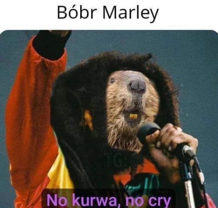 Bobr marley  ,  , , 