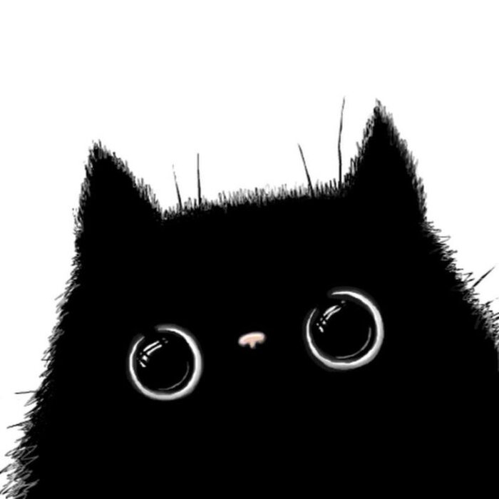 :  ,  ,   ,     (18+)